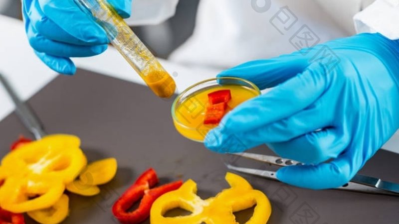 食品招商资质办理：流程解析与时间节点